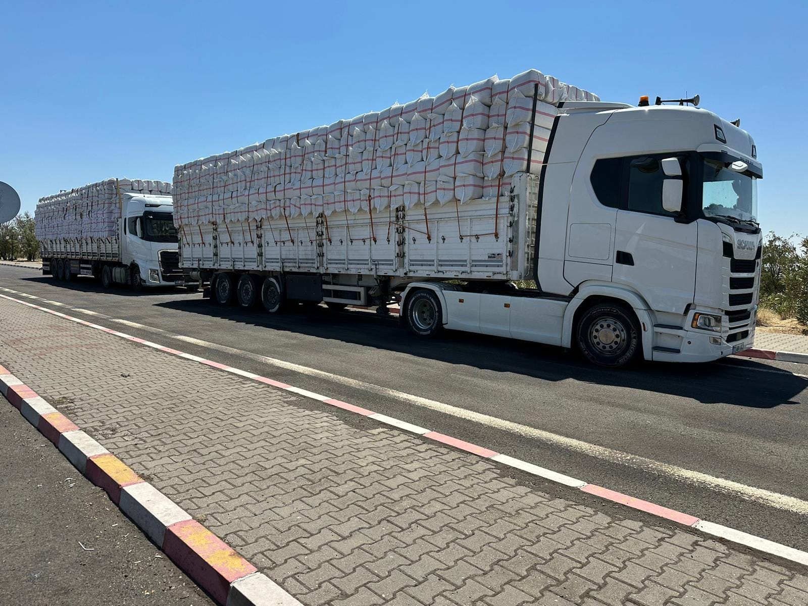 Buğday Pres Saman 2