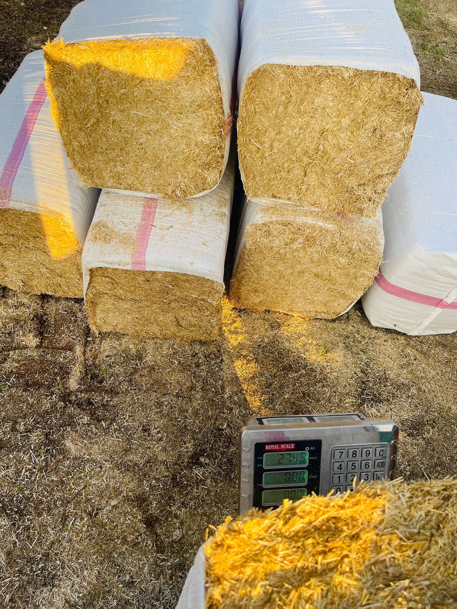 Buğday Pres Saman 3